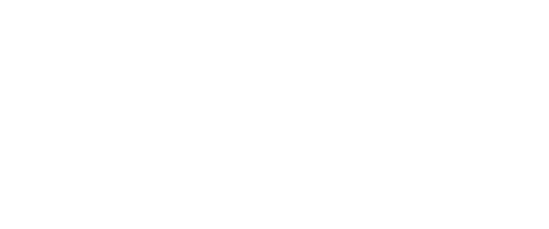 Logo VN_VN diap - WPG Website