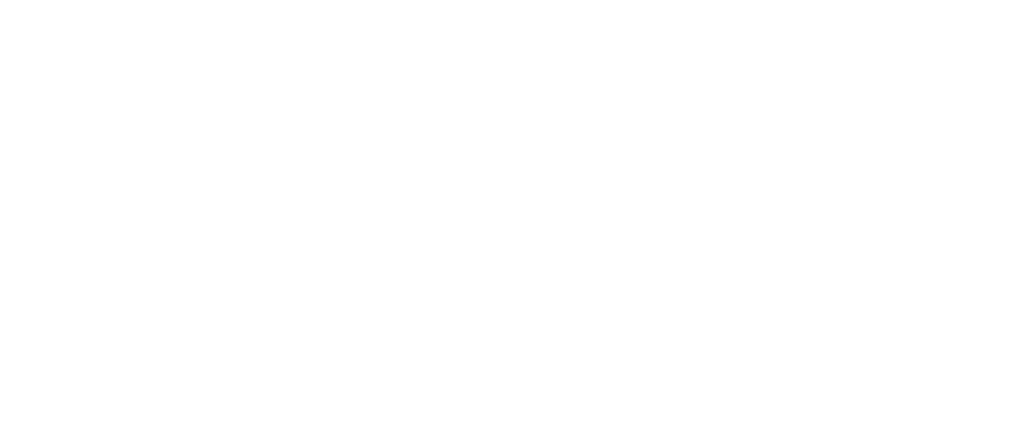 Logo VN_VN diap - WPG Website